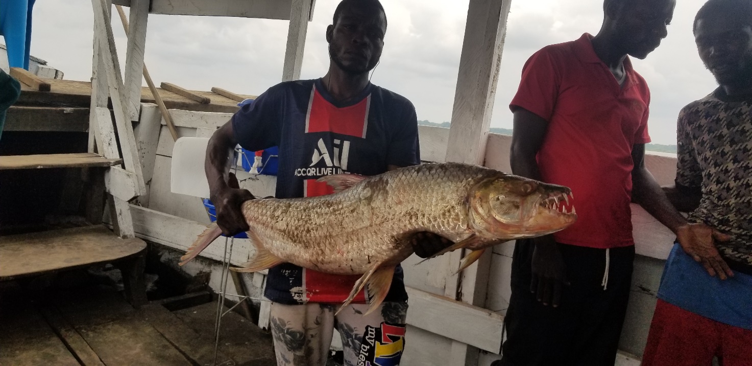 TP 71014 Days Tiger Fishing Mai Ndombe 2026